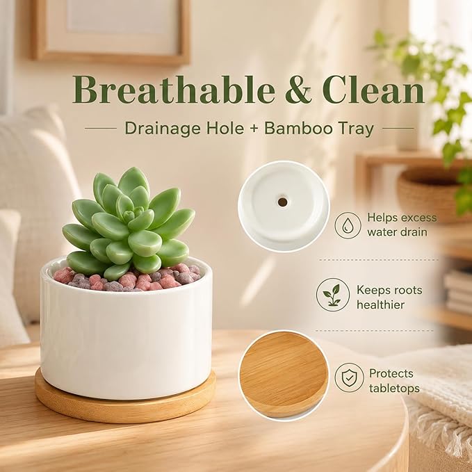 ZOUTOG 12 Pack Ceramic Succulent Pots,3.6 Inch Plant Pots,Succulent Planters with Drainage Hole & Bamboo Tray for Indoor Plants,White Small Flower Planters for Home,Office,Desk