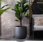 VUWEZ 6 Pack of 18 inch Plant Saucer (16 Inch Base), Plant Saucer 18 Inch Round, Plant Trays for Pots, Plant Drip Tray, Plant Pot Saucers, Pot Saucer 18", Plant Saucers for Indoors (18", Gray)
