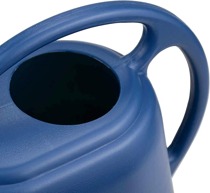 Fasmov Plastic Watering Can, Blue, 1-Gallon