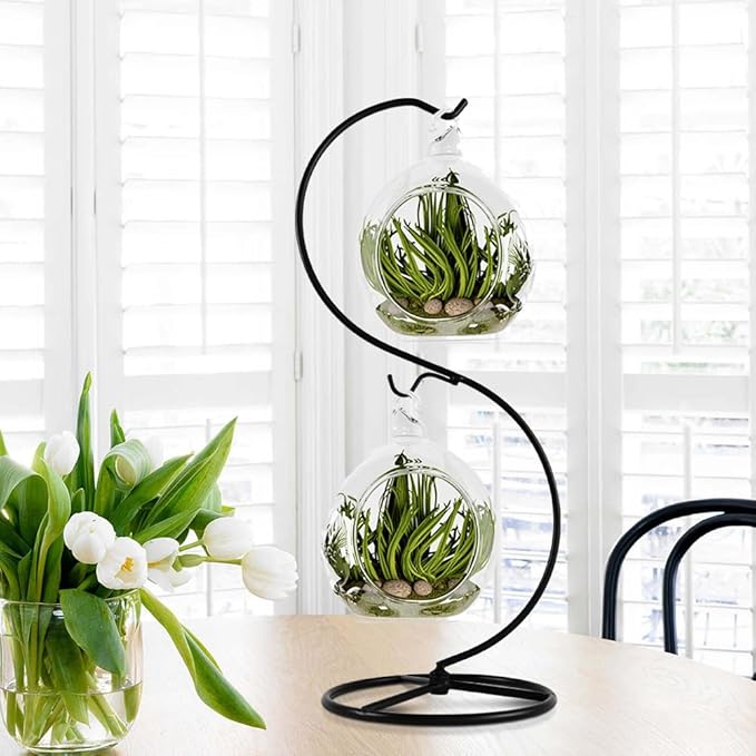 13 Inch Unique Ornament Display Stand, Black Metal Ornament Hanger Stand, S-type Two Hooks for Hanging Glass Globe(5inch), Christmas Ornament, Air Plant Terrarium, Witch Ball, Home Wedding Decoration (1, 13.8x5"Black)