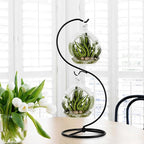 13 Inch Unique Ornament Display Stand, Black Metal Ornament Hanger Stand, S-type Two Hooks for Hanging Glass Globe(5inch), Christmas Ornament, Air Plant Terrarium, Witch Ball, Home Wedding Decoration (1, 13.8x5"Black)
