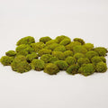 Preserved Pole Moss Pillow Bun Cushion Natural Green Decorative Real Natural Green DIY Kit Gardenning Art Wall Decor Florist Decor Easter Table Decor Wedding (1.5 sq.ft, Green-D)