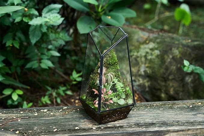 FISCRAT Tabletop Glass Terrarium -5"x5"x10.8" Black Metal Frame Indoor Plant Display Container with Openable Door, Low--Maintenance Succulent Ecosystem, Space Saving Art Decor (Plants Not Included)