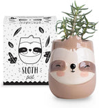 Sloth Animal Ceramic Planter for Indoor and Outdoors, 3 x 3 x 4 in., Cute Hand Painted Designed in Argentina, Convenient Drain Hole