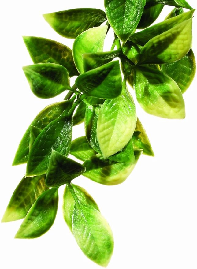Exo Terra Plastic Terrarium Plant, Small, Mandarin