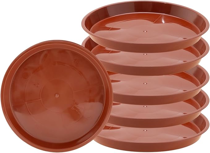 6pcs Terracotta Plastic Plant Saucers (8 inch) - Heavy Duty Indoor Plant Trays for Pots with Water Drainage, Drip Catcher & Decor (Set of 6 Round Saucers)