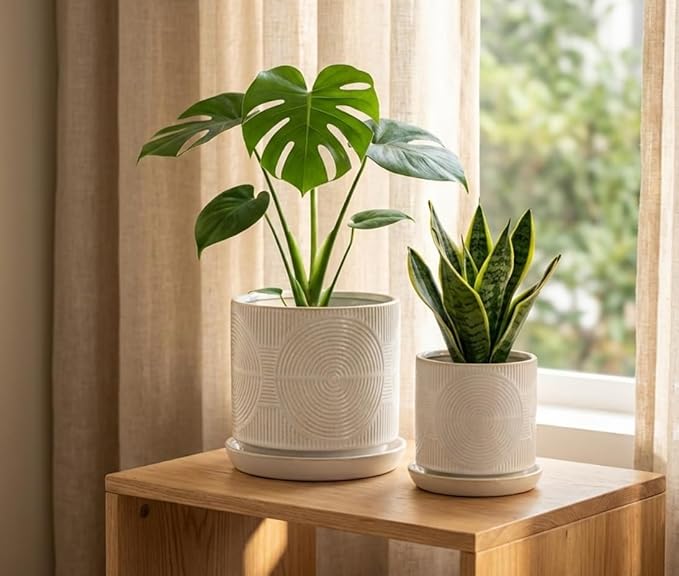 Ceramic Plant Pots, Pots for Plants(4.5+5.5inch), Flower Pots for Indoor planters with Drainage and Tray, Indoor Plant Pots for Succulents Cactus Herbs - Small Planters for Home Office Decor