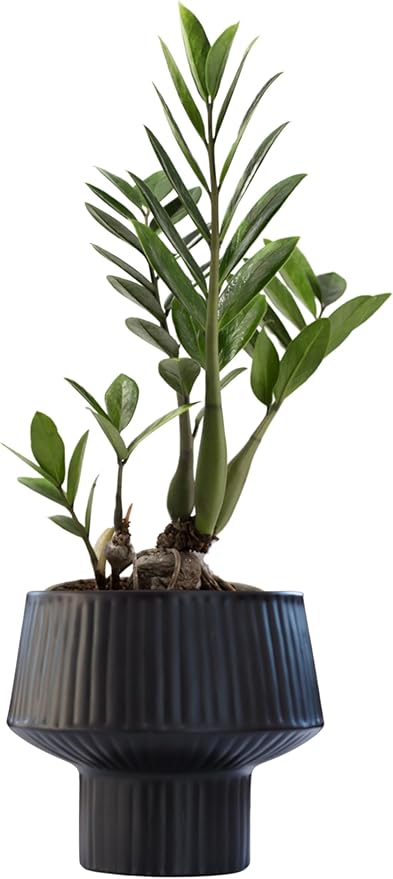 Wide Top Modern Handmade Metal Indoor Planter with Unique Shape, Vertical Grooved Design and Anti-Scratch Pads, Rust-Resistant Finish that is Sustainable Non-Plastic Pot Recyclable Metal Vase (Black)