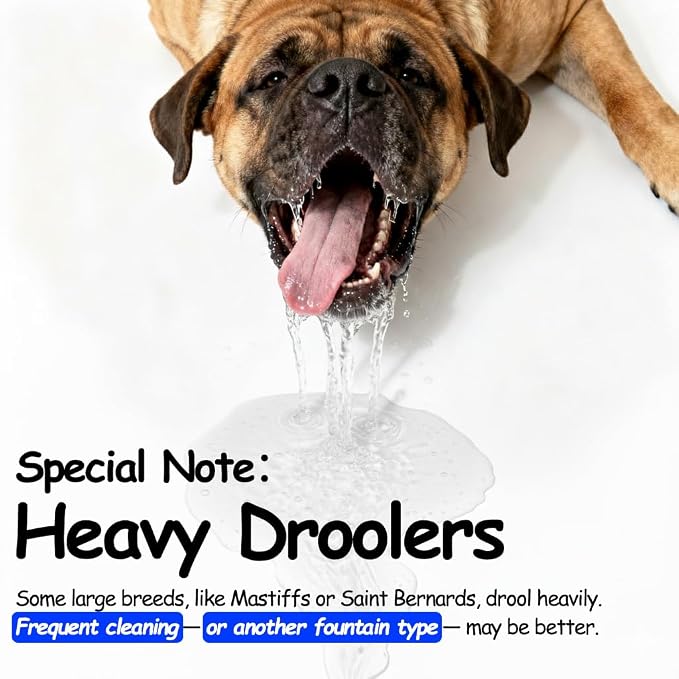 3 Gallon Stainless Steel Dog Water Fountain, BPA-Free Automatic Pet Water Dispenser with Quiet Pump, Easy to Clean, Large Capacity for Large Dogs and Multi-Pet Households