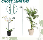 MAFONE 12 Pack 16inch Plant Support Stakes, Plant Stick Garden Single Stem Flower Support Stake Plant Cage Support Rings with 20pcs Plant Clips and Plant Ties for Tomato Orchid Lily Peony Rose Bean