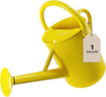 Watering Can for Outdoor&Indoor Plants，1 Gallon Metal Watering Can with with Removable Spout，Galvanized Steel Garden Flower Water Can Plant Watering Pot with 2 Handles，Yellow