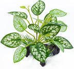 2 pcs Reptile Artificial Plants, Terrarium Plants Decorations Supplies, Amphibian Habitat Hideout Tank Accessories, Rainforest Ground Plant