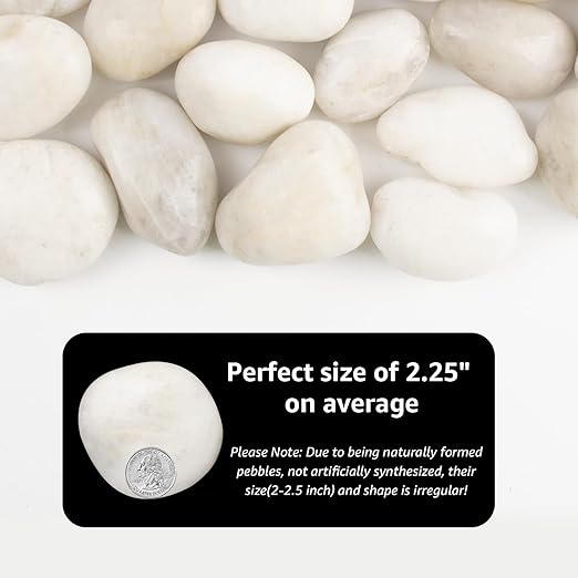 River Rocks - Natural Polished White Pebbles, 2-3 inches, 10 lbs - Ideal for Patio Landscaping, Rock Gardens, Succulent Arrangements, and Pathway Edging (White, Weight: 10 LB)
