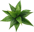 Artificial Agave Fake Plant, 10 Inches Faux Shrubs Bushes Plants for Indoor Outdoor Bedroom Garden Greenery UV Resistant Leaves Decor Wedding Party Office Planter Filler DIY Decoration Green 2 Pack