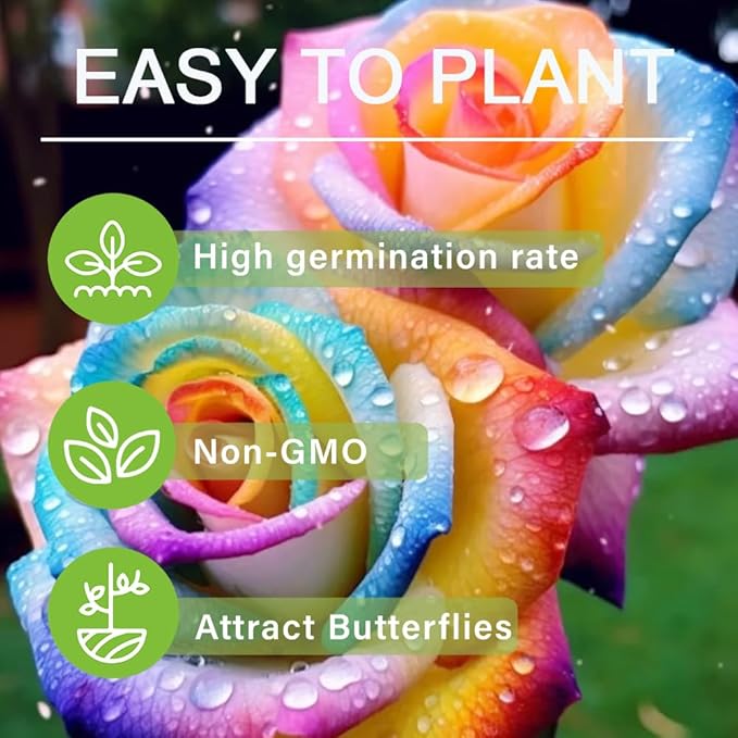 265+ Rose Seeds for Planting Outdoor-Rare Rose Flower Seeds to Plant Garden Decor Open-Pollinated Non-GMO Heirloom