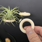 12 PCS Magnetic Air Plant Holder, Wooden Round Refrigerator Magnet Planter Stand in 3 Sizes, Mini Wall Mount Air Plant Holder Ring for Tillandsia, Bromeliads, Dried Flowers, Office & Home Décor