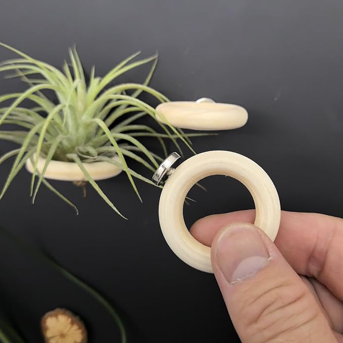 12 PCS Magnetic Air Plant Holder, Wooden Round Refrigerator Magnet Planter Stand in 3 Sizes, Mini Wall Mount Air Plant Holder Ring for Tillandsia, Bromeliads, Dried Flowers, Office & Home Décor