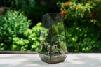 FISCRAT Tabletop Glass Terrarium -5"x5"x10.8" Black Metal Frame Indoor Plant Display Container with Openable Door, Low--Maintenance Succulent Ecosystem, Space Saving Art Decor (Plants Not Included)