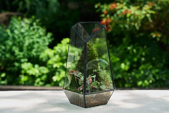 FISCRAT Tabletop Glass Terrarium -5"x5"x10.8" Black Metal Frame Indoor Plant Display Container with Openable Door, Low--Maintenance Succulent Ecosystem, Space Saving Art Decor (Plants Not Included)