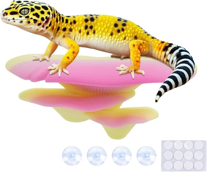 Westant Mushroom Decor for Reptile Tank, Fish Tank, Pet-Safe Bearded Dragon Tank Accessories, Realistic Terrarium Plants for Leopard Geckos, Crested Geckos, Tree Frogs, Snakes (Sunrise, Trio Cap)