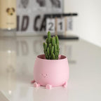 TOPOLA Happy Face Planter, 5.2 Inches Plastic Plant Pot, Self Watering Plant Pot with Drainage Holes for Indoor Outdoor, Succulent Pot, Funny Flower Pot, Sakura