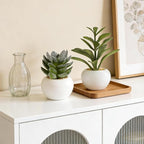 GREENTIME 6 Pcs Mini Artificial Succulents Plants in Ceramic Pots Small Fake Succulent Faux Plant Indoor Decor Bedroom Desk Bathroom Office Living Room Table Shelf Home Decoration Green White