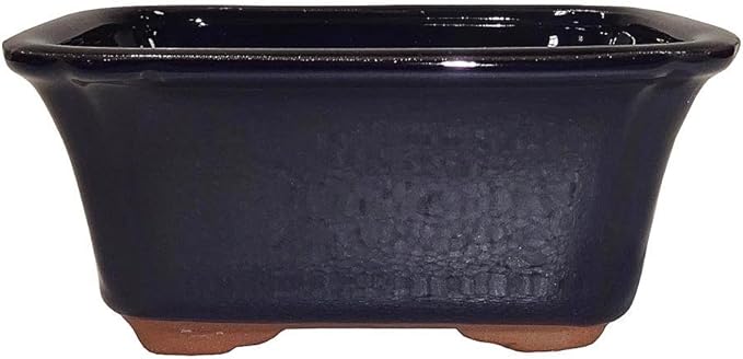 Brussel's 6" Rectangle Bonsai Glazed Ceramic Pot (Small, Dark Navy)