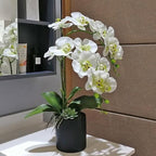 Htmeing 38 Inch Artificial Phalaenopsis Flowers Branches Real Touch (Not Silk) Orchids Flowers for Home Office Wedding Decoration,Pack of 2 (Green White)