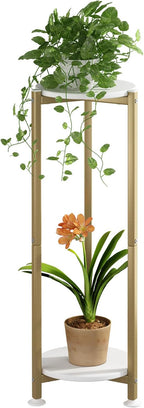 Plant Stand Indoor Corner Tall 2 Tier Metal Modern Flower Storage Plant Shelf Holder for Living Room Balcony Garden,Gold (2 Tier-Gold Round)