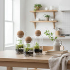 DIY Terrarium Kit | Pebbles Sphagnum Moss Activated Carbon Burlap Peat Moss Tools | Terrarium Supplies (Advanced)
