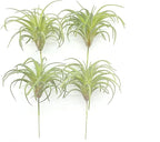 4 Pack Artificial Succulent Plants Flocked Air Plants Grass Faux Flocking Tillandsia Air Plants Bromeliads for Home Garden Decor Terrarium Project Fake Artificial Plants Arrangement