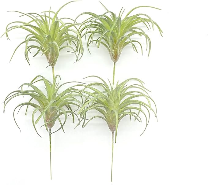 4 Pack Artificial Succulent Plants Flocked Air Plants Grass Faux Flocking Tillandsia Air Plants Bromeliads for Home Garden Decor Terrarium Project Fake Artificial Plants Arrangement