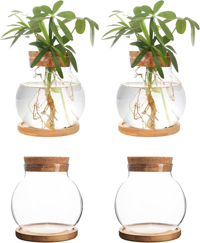 Plant Propagation Station,Hydroponic Glass Container Vase Jars, with Wooden Saucer for Desks, Houses, Garden Decorations, Home Kitchen Decorations and Gifts for Plant Lovers (4)