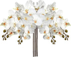 DILATATA 4 Pcs Artificial Orchid Stems with 9 Large Flowers Real Touch Phalaenopsis Orchids Flowers Fake Flower Branches 31.5" Tall for Home Arrangement -White Green Orchid