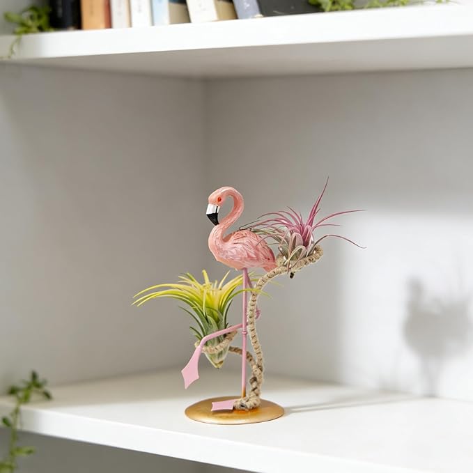 Air Plant Holders, Unique Air Plant Holders with Charming Decor, Home Decor for Living Room, Bedroom, Office, Table, Bookshelf, Gift, Office Decoration Supplies