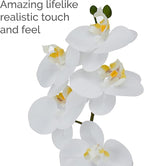 Mikasa Artificial Orchid in Pot, Real Touch Phalaenopsis Orchid, Embossed Weave Cement Pot, 16-Inch Single Branch, White/Yellow