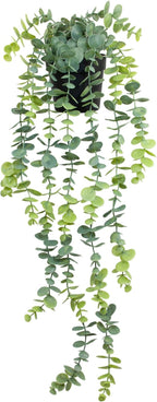 LOYWREE Fake Hanging Eucalyptus Plants Small Potted Long Vine Plants Indoor for Vintage Boho Farmhouse Bathroom Office Desk Wall Shelf Room Aesthetic Decor (Black Pot)