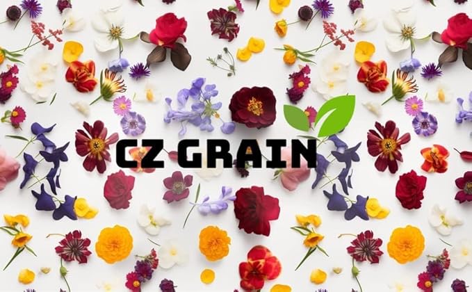 Global Green Pothos – Live Plant in 2 Inch Pot - Air Purifier Plant to Make Your House Healthier - Indoor Plant Aesthetic
