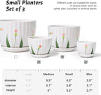 STHIE Ceramic Plant Pots with Drainage Holes and Saucers, Round White Flower Pots for Indoor Plant, Diameter 3.3/4.3/5.5 Inches Small Flower Planters Set of 3