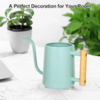 Watering Can Indoor Plants, 35 oz/1000 ml Metal Stainless Steel Watering Can Pot with Long Spout for Indoor House Plants Bonsai Outdoor Garden Flower Decorative (Green
