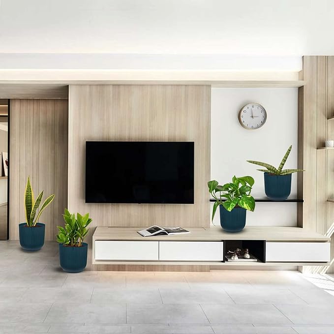 Easy Care Live Plants for Indoor | Different Houseplants in Multiple Sizes | Real House Plant for Living Room, Office, Desk & Bathroom