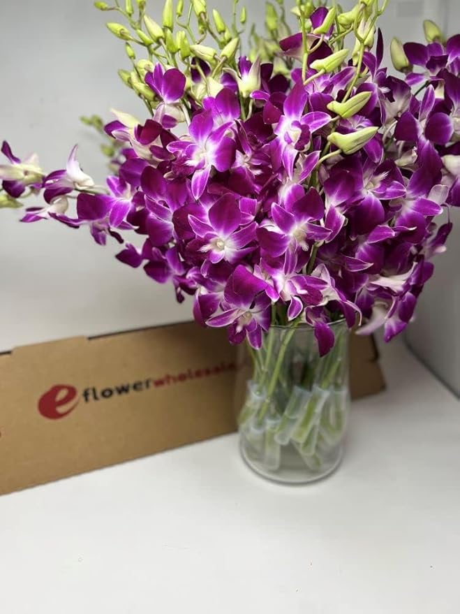 eflowerwholesale - Mother's Day Cut Purple Orchids (30 stems with Vase) (Support Small Business)