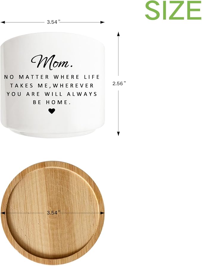 Mom Gifts from Daughter Son, Succulent Cactus Cute Planter Plant Pots Gifts for Mom, for Mom Mama Mother, Mom Birthday Gifts, Best Mom Ever Gifts, Gardening Gifts for Mom