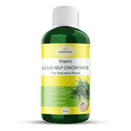 GARDENWISE Liquid Kelp Fertilizer: Premium Dracaena Fertilizer - Plant Food for Dracaena - Organic Seaweed Fertilizer for Robust Growth (32 OZ)