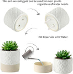 Nihow Self Watering Plant Pot: 4.5 Inch Ceramic Planter with Drainage Hole & Water Storage Plus for Indoor & Outdoor Plants - Cylinder Flower Pot for Herbs/Violets - Matte White & Brown Star