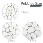 River Rocks, 20lbs Aquarium Rocks, 2-3 Inch White Pebbles for Indoor Plants, Natural Stones for Landscaping Garden Paving Plant Rocks Crafting Walkways
