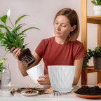 7 Inch Plant Pots 5 Pack, Flower Planters with Drainage Holes and Trays,Plastic Pots for Indoor Outdoor Plants,White