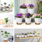 5 Pack 5 inch Self-Watering Pots, African Violets Planter with Drainage Holes and Reservoir, White Brown Plastic Planter for Indoor Outdoor Plants Flowers and Houseplants White Brown, 5 inch 5 pcs