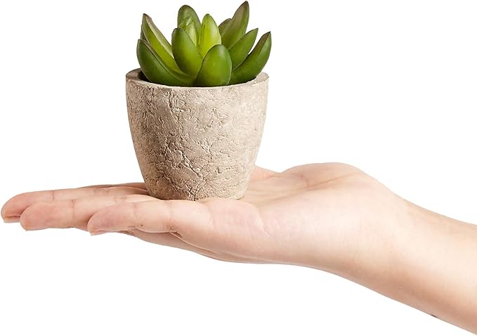 Artificial Succulents Plants Potted Set-Decorative Fake Succulent Plant Faux Plastic Plant Indoor &Outdoor for House Office Desk Bathroom Kitchen DIY Decor Gift Set of 6