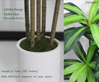 6ft Artificial Dracaena Tree for Home Decor, Potted Faux Plant with Realistic Wood Trunk & Lifelike Leaves, Low--Maintenance Tall Floor Tree for Living Room, Office Sonvviky (6ft)
